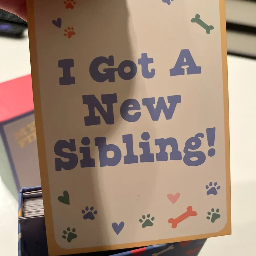 NFS  Milestone Cards Set with Wooden Holder for First Year Memories (k/x) (NEW